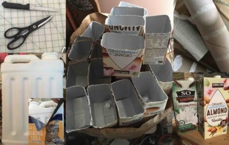 A  Productive Garden Chore for Rainy Days Image